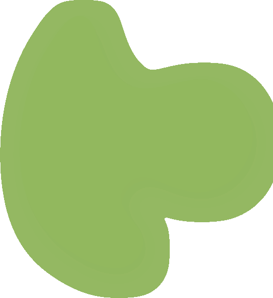 新莊國中先修班，新莊國中數理化，新莊國中數理班，新莊小一先修班，新泰國中先修班，新泰國中數理化，新泰國中數理班，中平國中先修班，中平國中數理化，中平國中數理班，