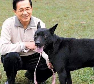 山中神犬與媒體新聞