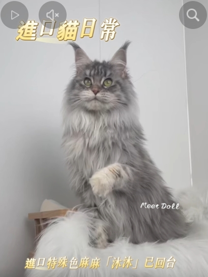 影片封面