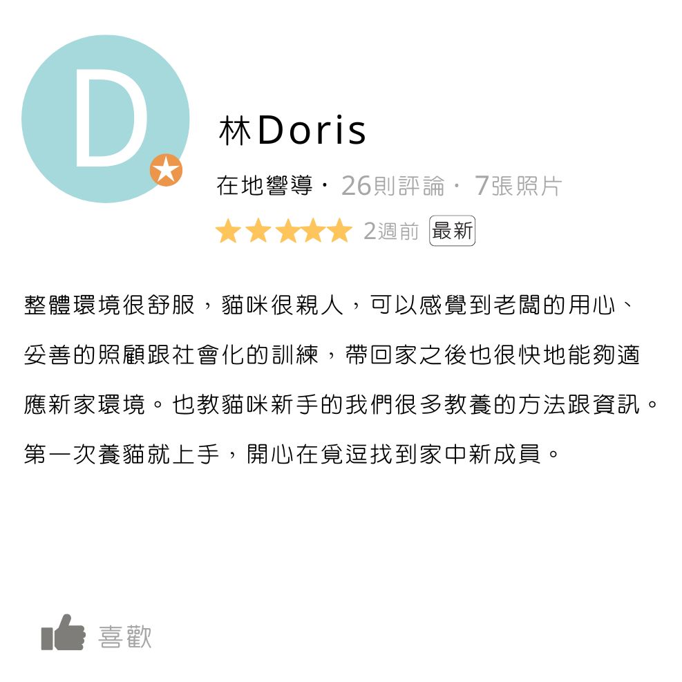 板橋貓舍,緬因貓舍,英短貓舍
