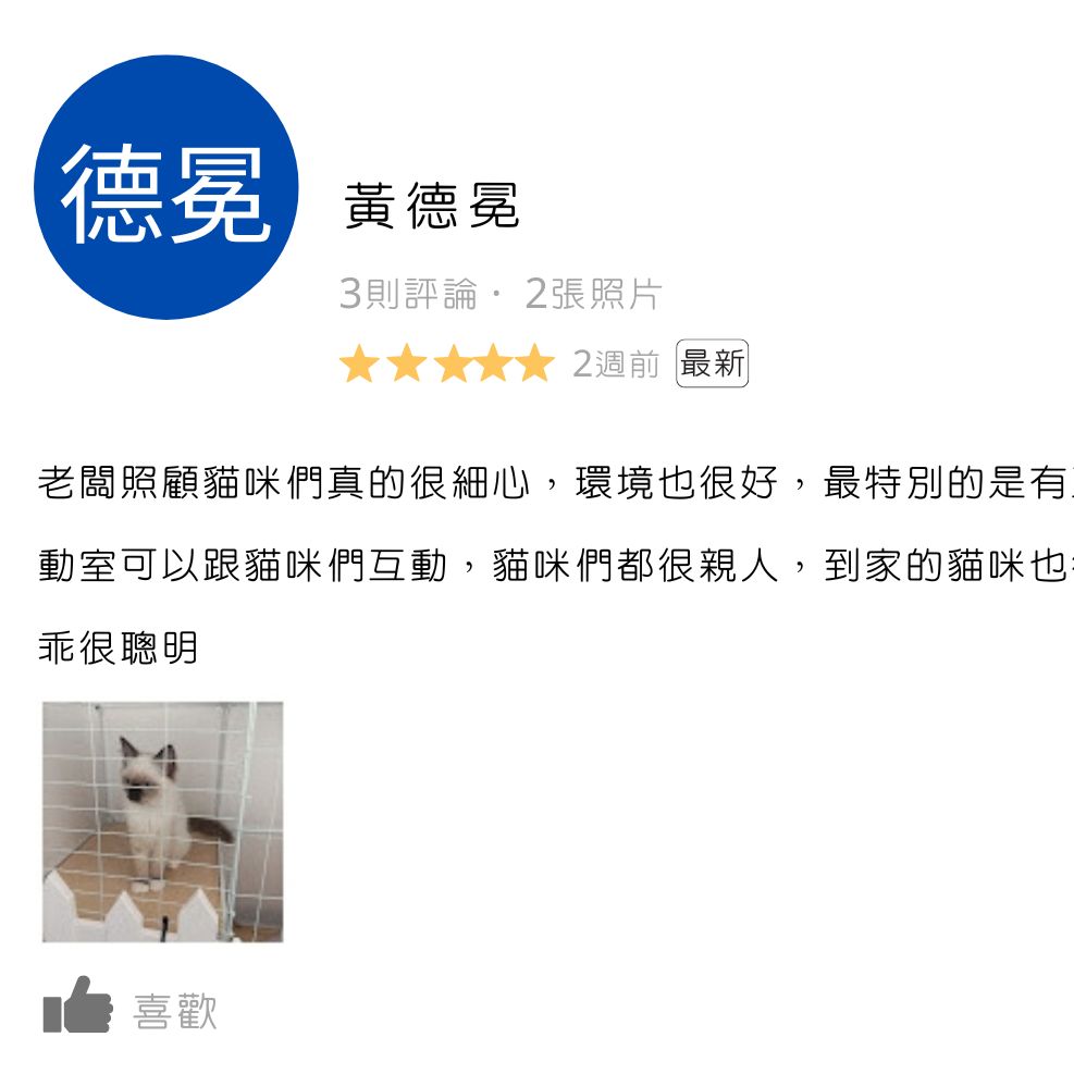 板橋貓舍,緬因貓舍,英短貓舍