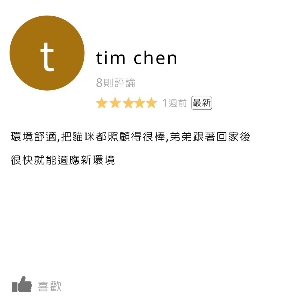 板橋貓舍,緬因貓舍,英短貓舍