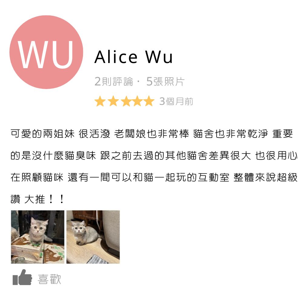 板橋貓舍,緬因貓舍,英短貓舍