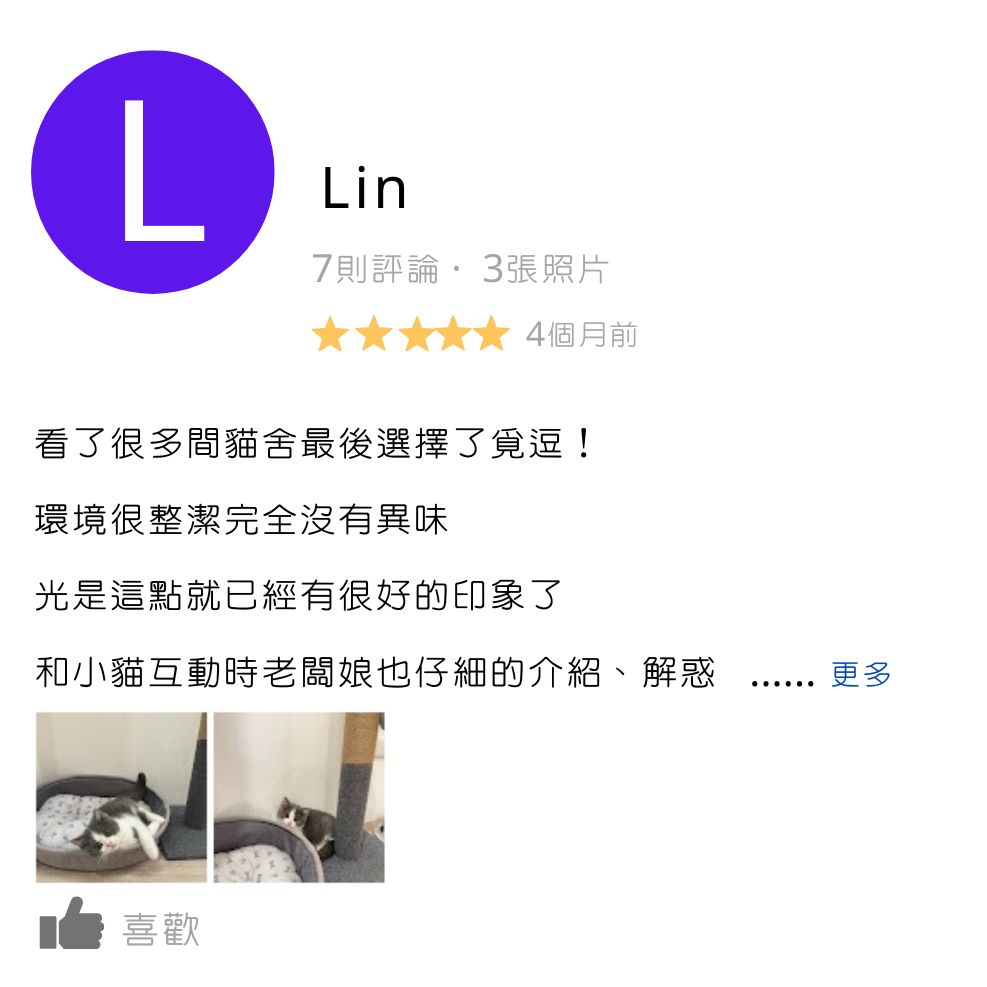 板橋貓舍,緬因貓舍,英短貓舍