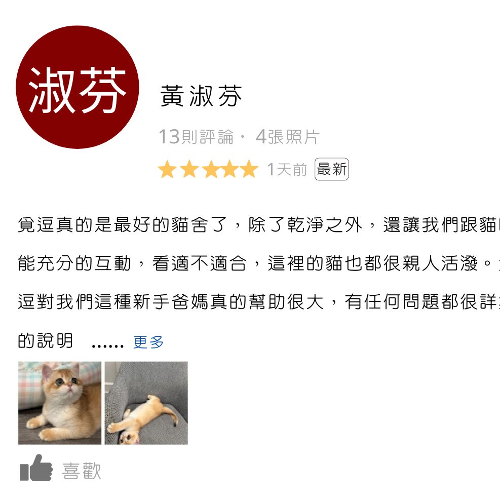 板橋貓舍,緬因貓舍,英短貓舍